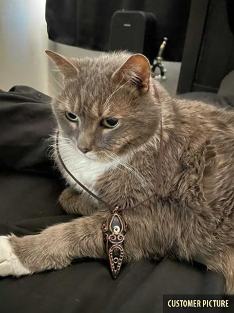 Grey and white cat demonstrating copper necklace with labradorite stone